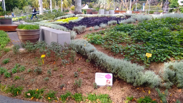 A bit further along the South Bank is an interactive culinary herb garden cared for by a group calling itself 'Epicurious'.